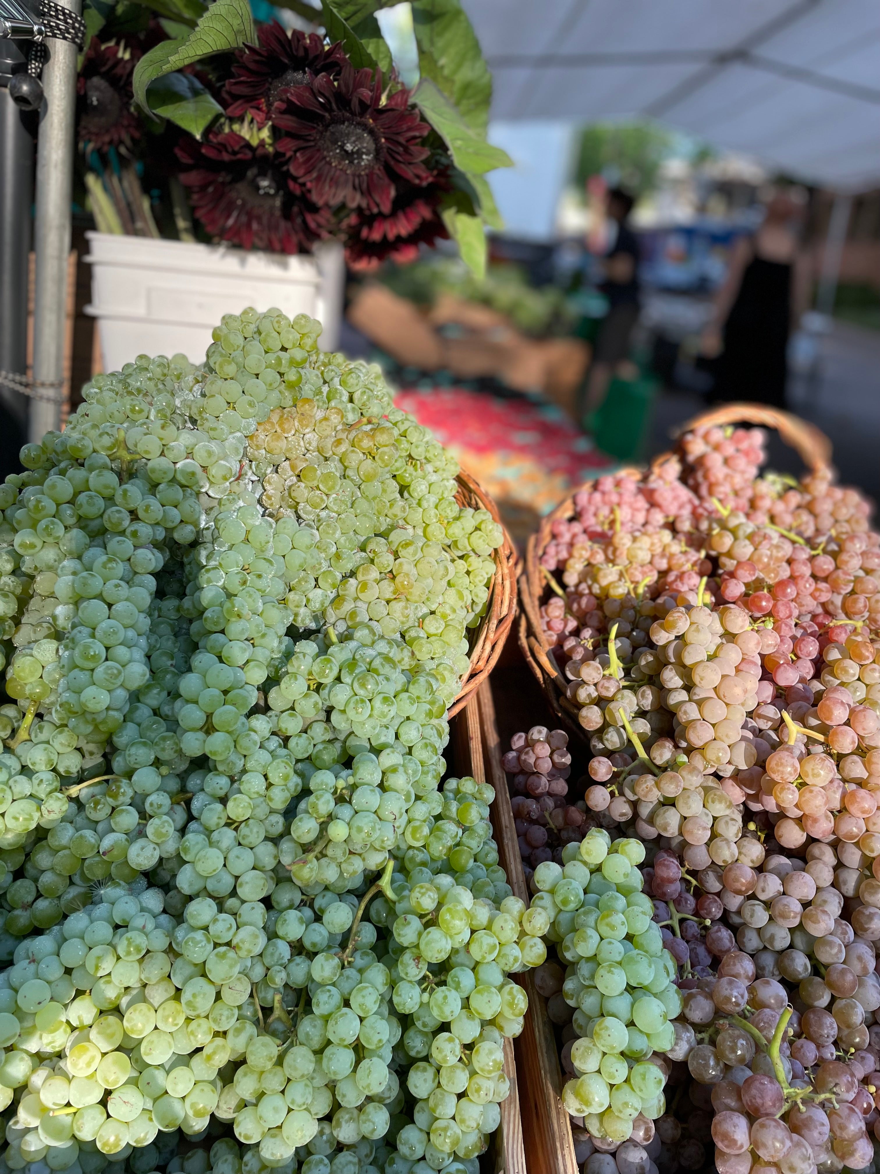 Savory Grape Focaccia